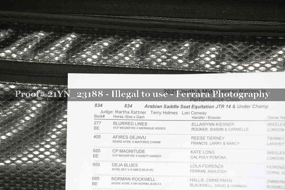 Proof 21YN_23188