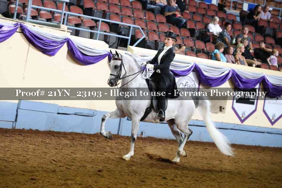 Proof 21YN_23193