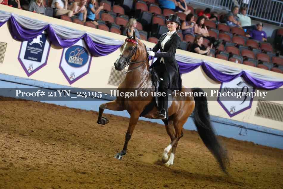 Proof 21YN_23195