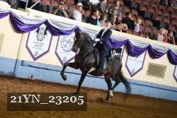 21YN_23205 proof