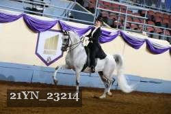 21YN_23214 proof