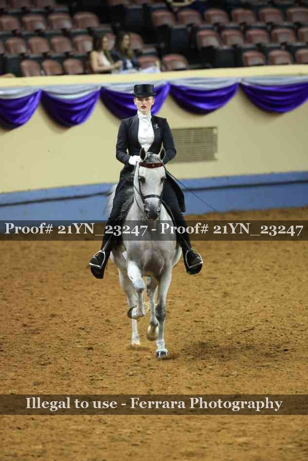 Proof 21YN_23247