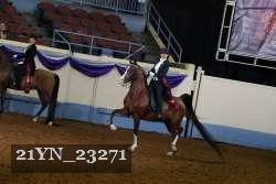21YN_23271 proof