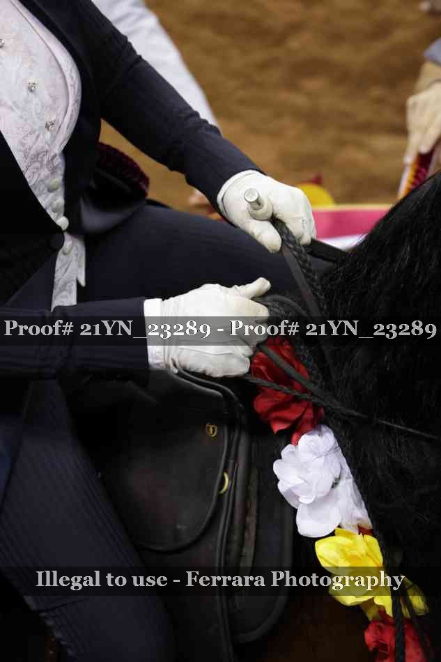 Proof 21YN_23289