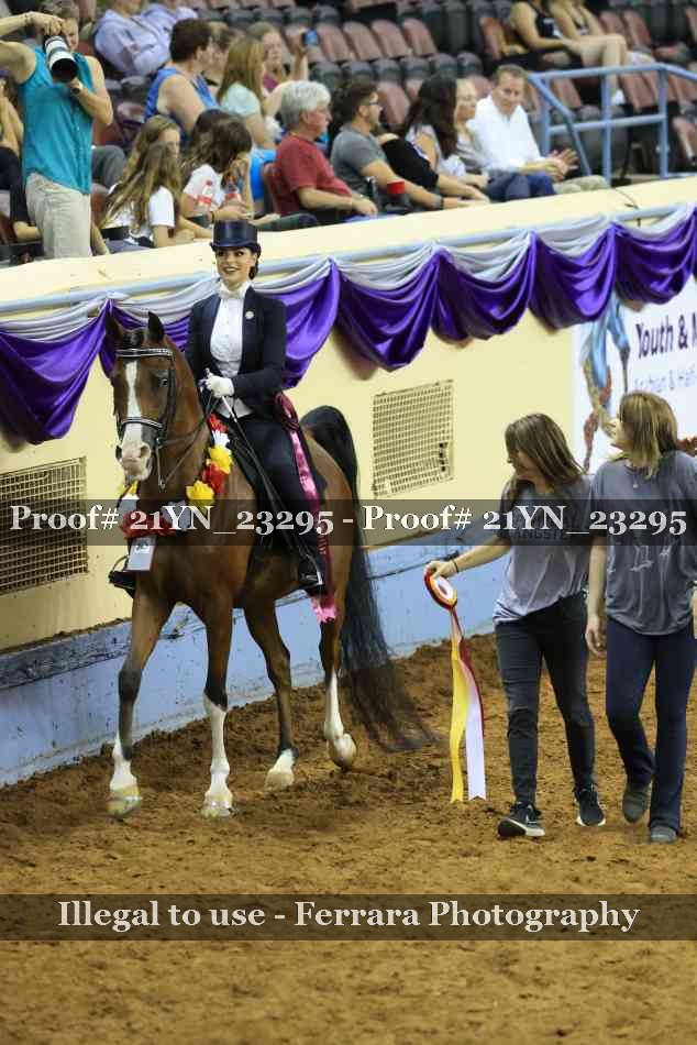 Proof 21YN_23295