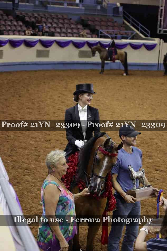 Proof 21YN_23309