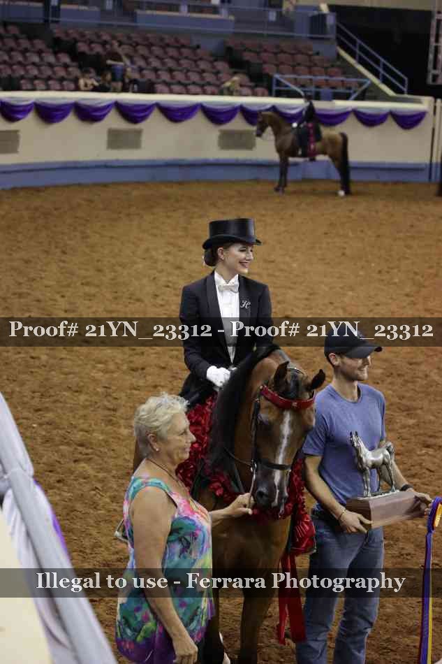 Proof 21YN_23312