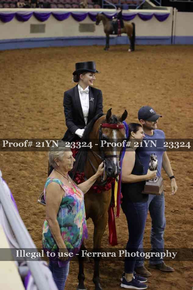 Proof 21YN_23324