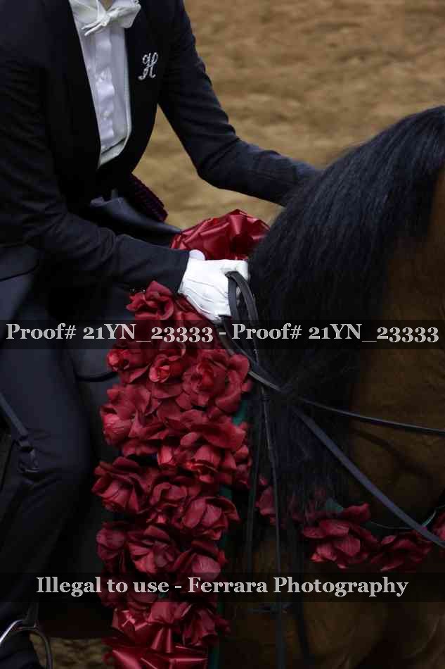 Proof 21YN_23333
