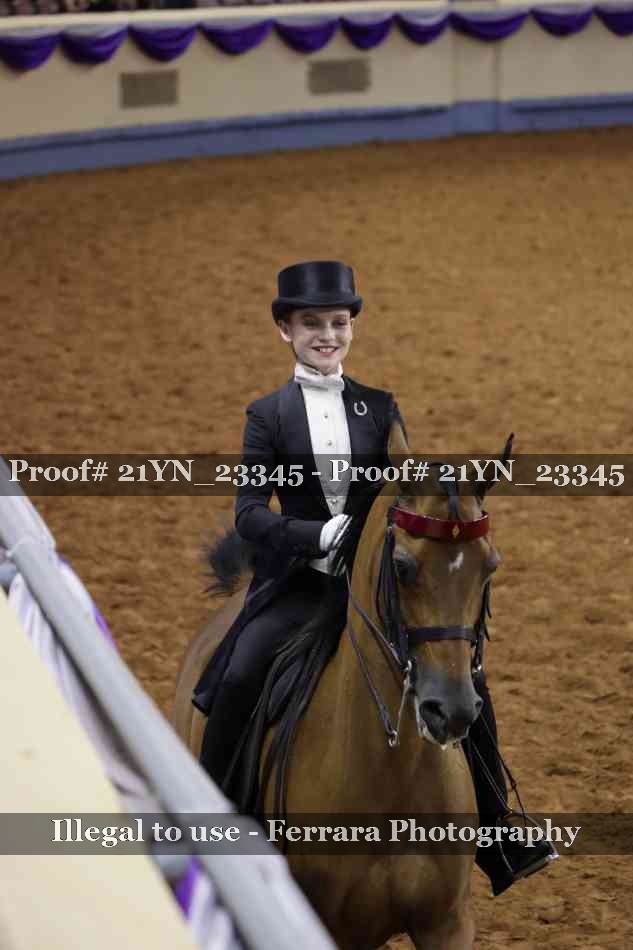 Proof 21YN_23345
