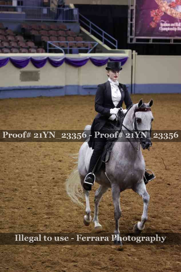 Proof 21YN_23356