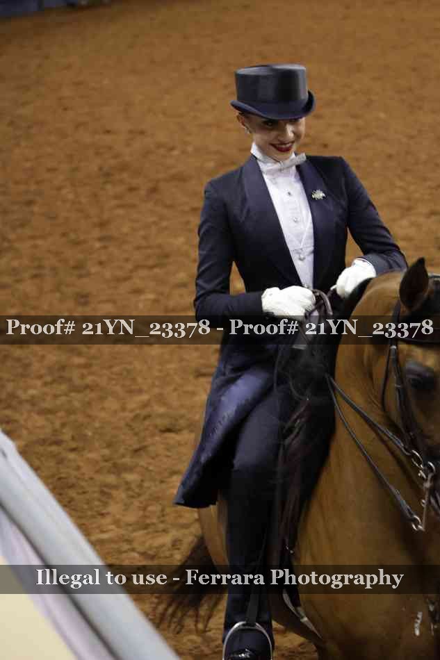 Proof 21YN_23378