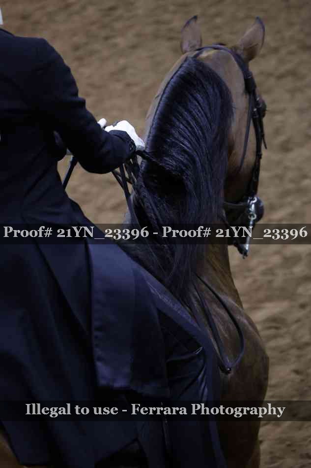 Proof 21YN_23396