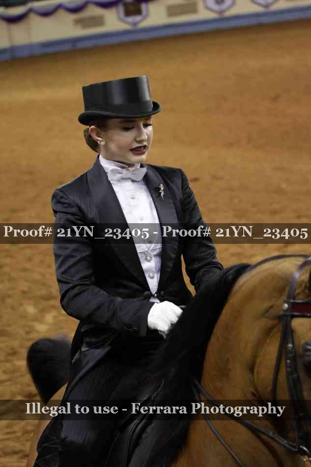 Proof 21YN_23405