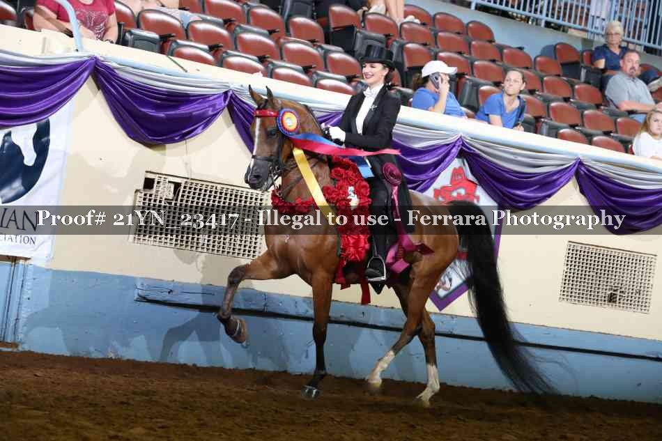 Proof 21YN_23417