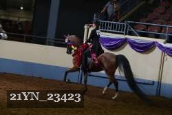 21YN_23423 proof