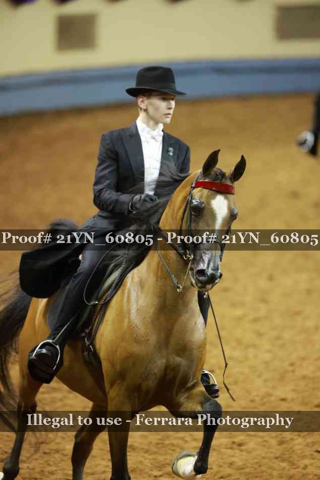Proof 21YN_60805
