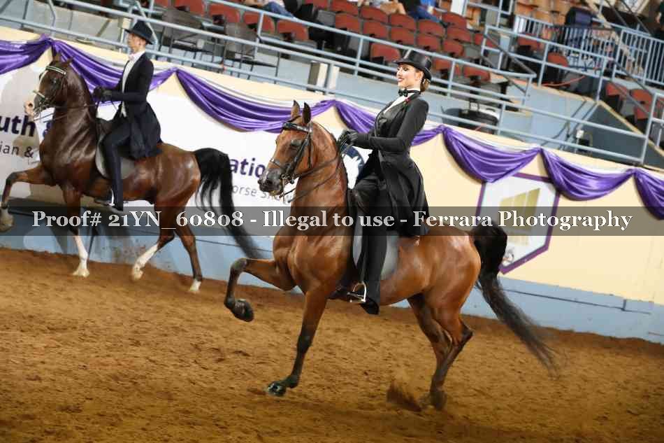 Proof 21YN_60808
