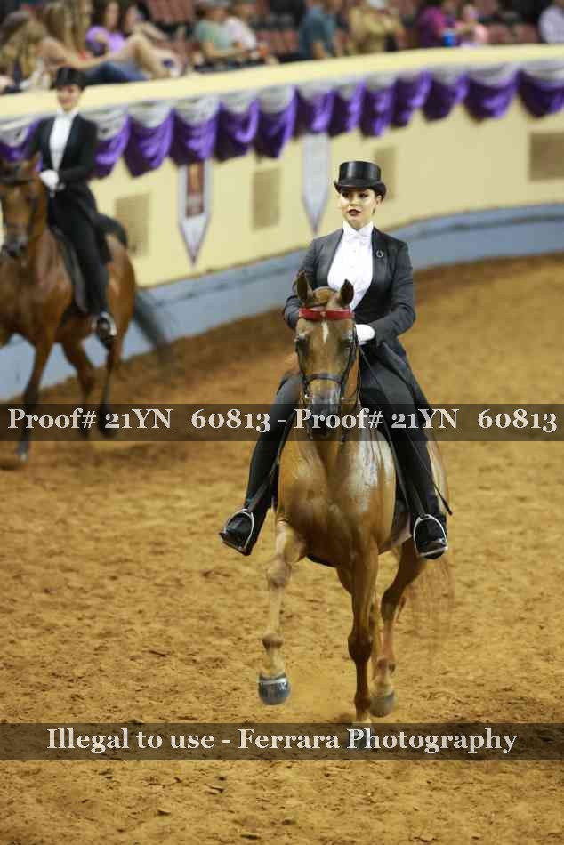 Proof 21YN_60813
