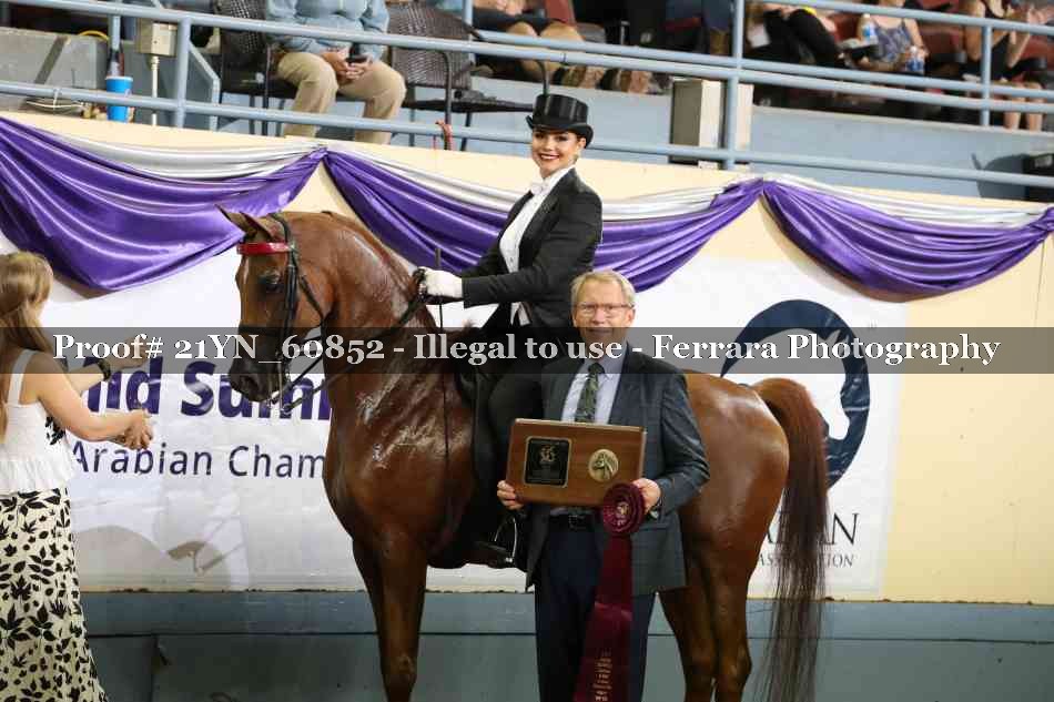 Proof 21YN_60852
