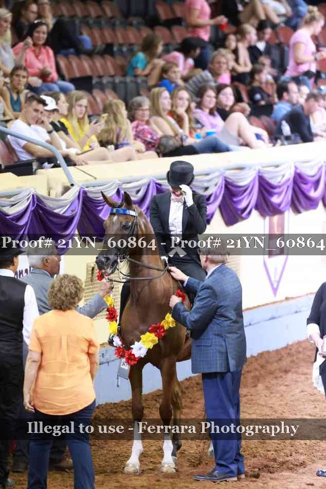 Proof 21YN_60864