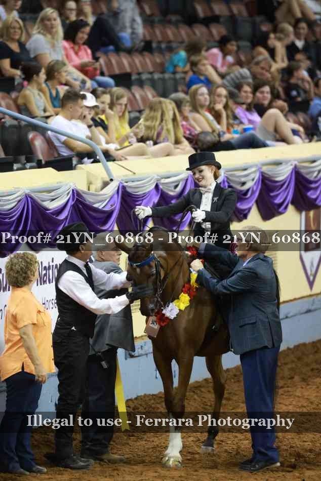 Proof 21YN_60868