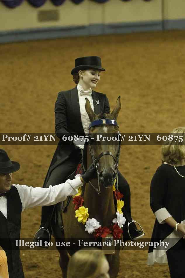 Proof 21YN_60875