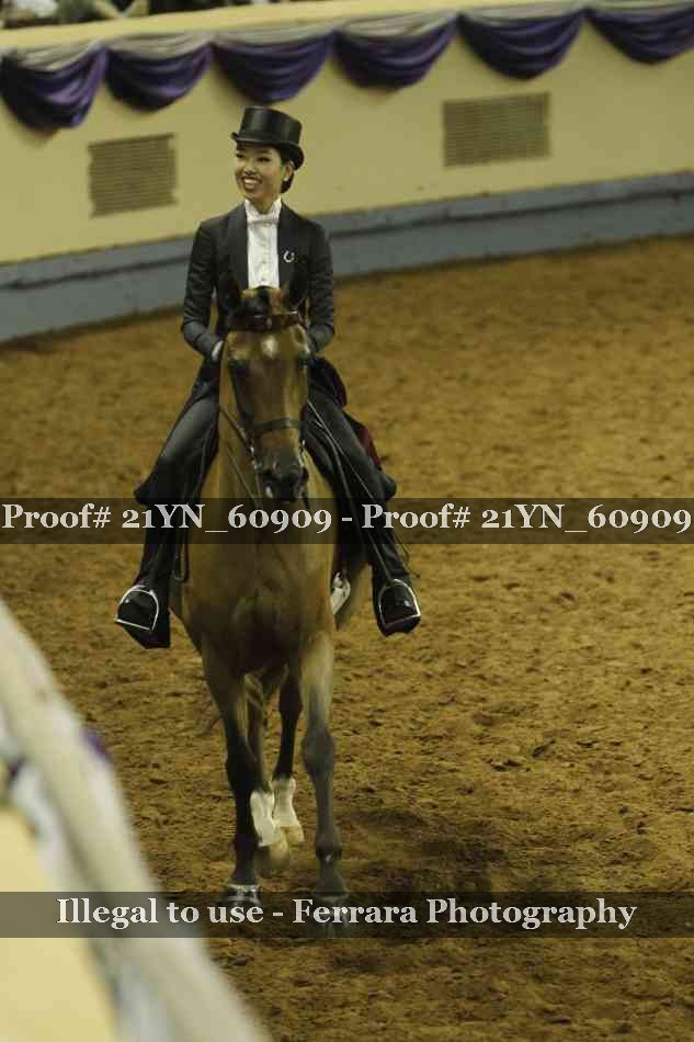 Proof 21YN_60909