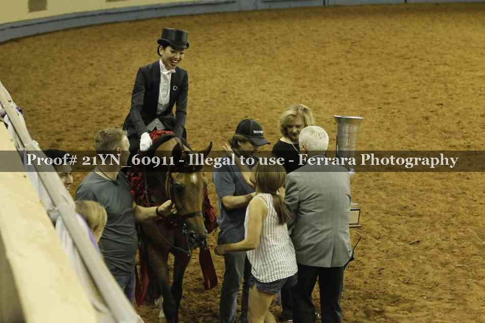 Proof 21YN_60911