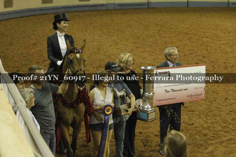 Proof 21YN_60917