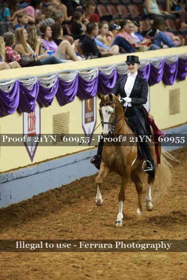 Proof 21YN_60955