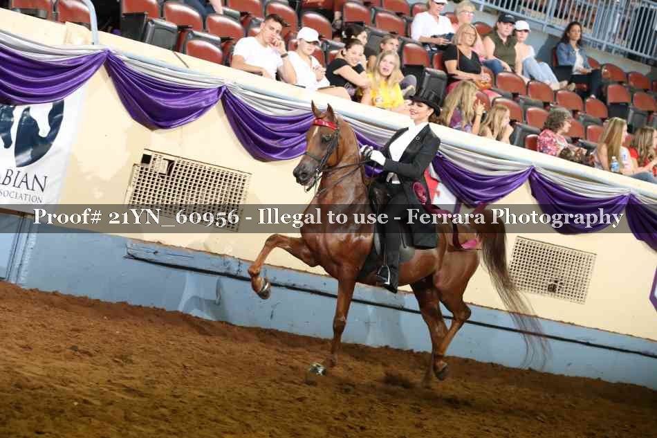 Proof 21YN_60956