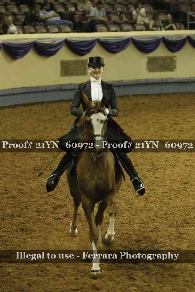 Proof 21YN_60972