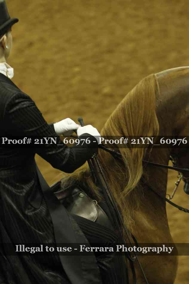 Proof 21YN_60976