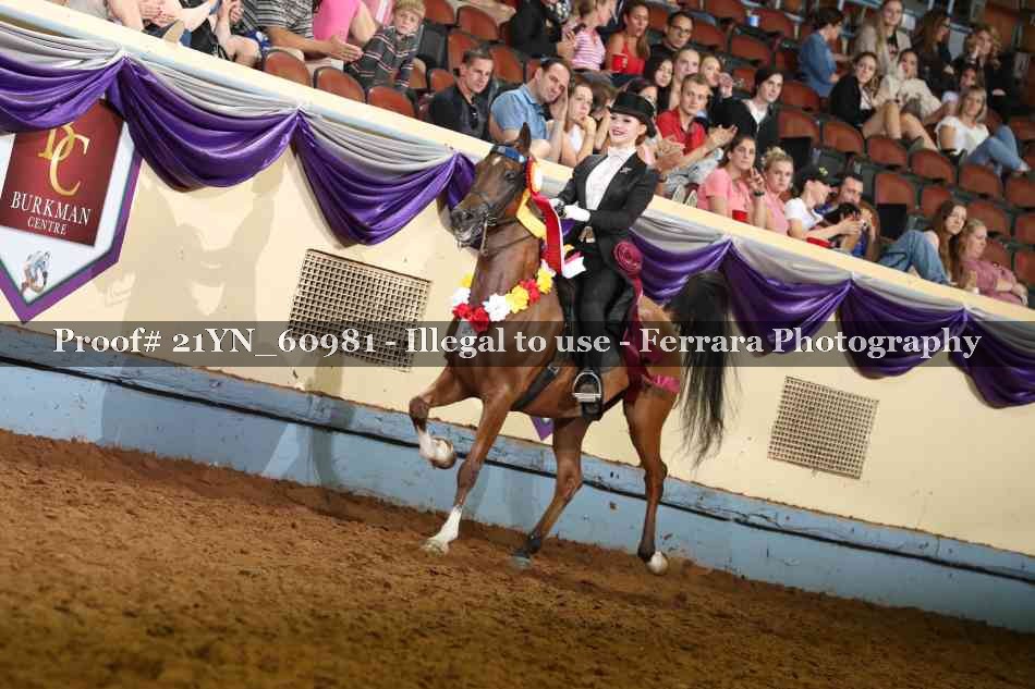 Proof 21YN_60981
