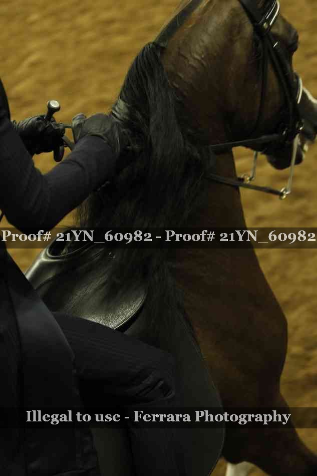 Proof 21YN_60982