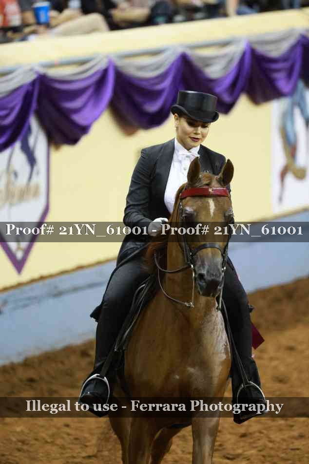Proof 21YN_61001