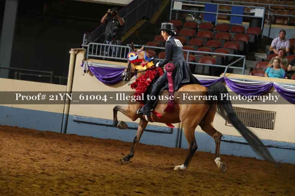 Proof 21YN_61004