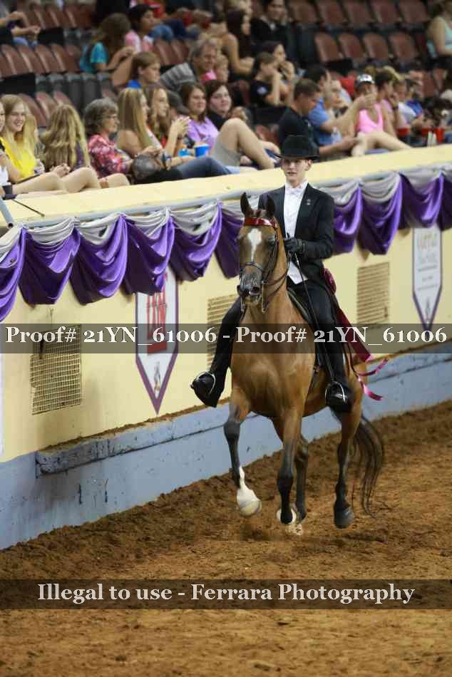 Proof 21YN_61006