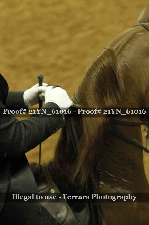 Proof 21YN_61016