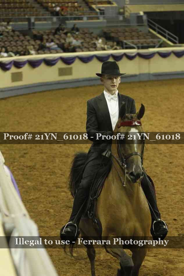 Proof 21YN_61018