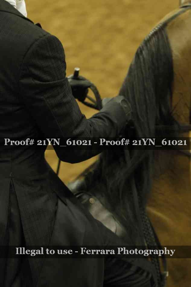 Proof 21YN_61021
