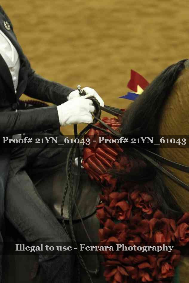 Proof 21YN_61043