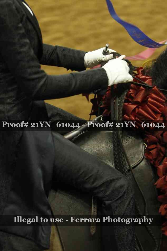Proof 21YN_61044