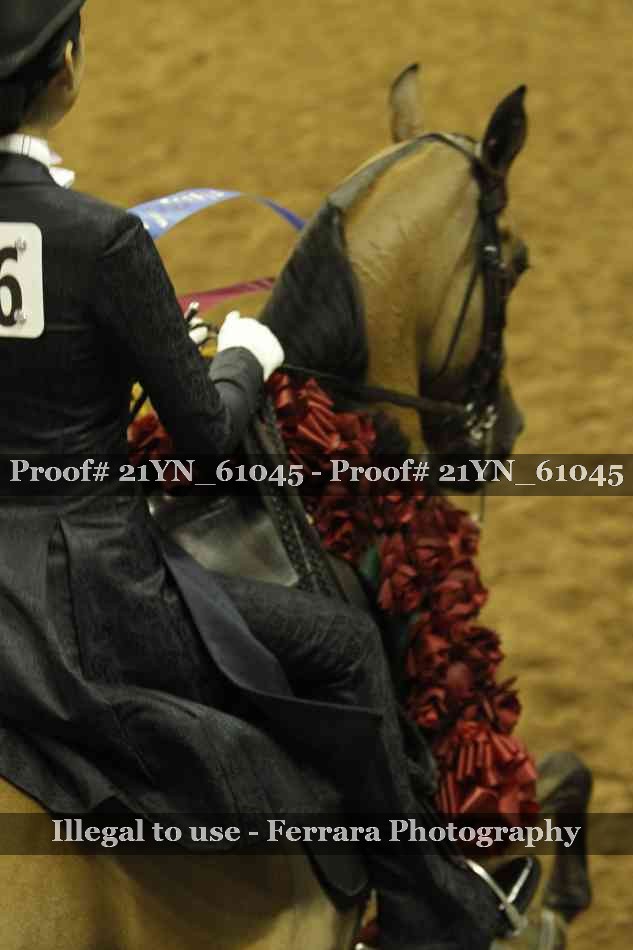 Proof 21YN_61045