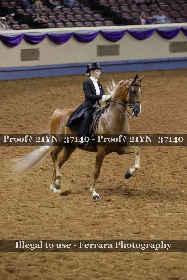 Proof 21YN_37140