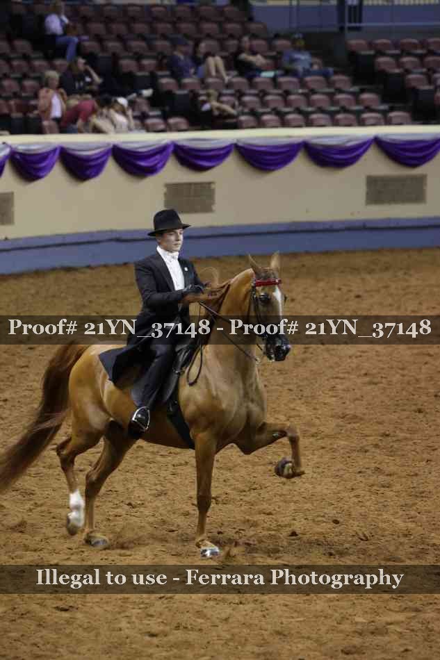 Proof 21YN_37148
