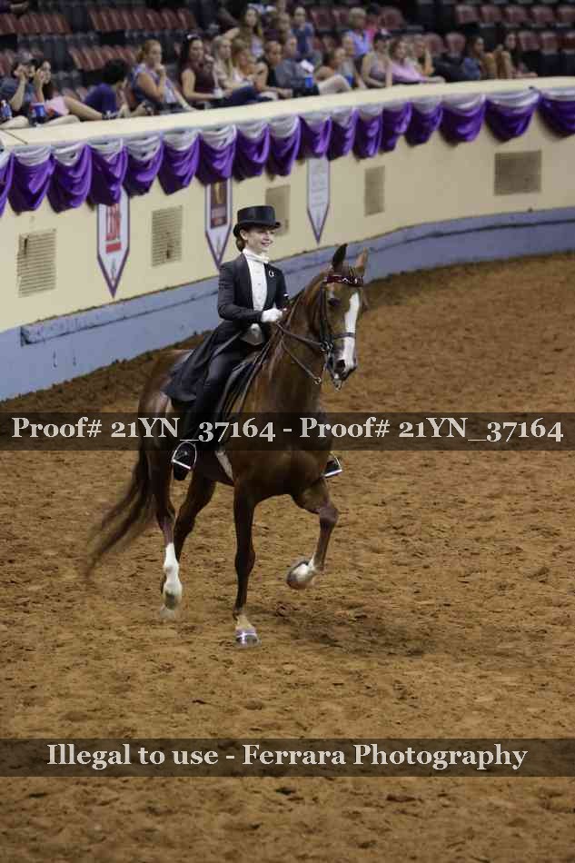 Proof 21YN_37164