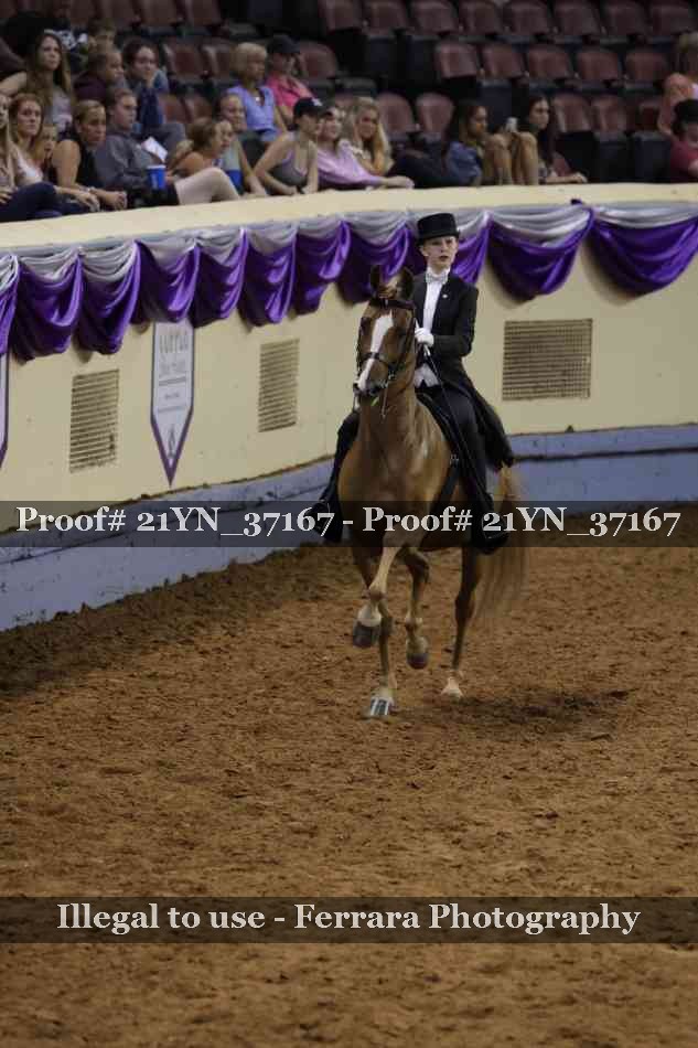 Proof 21YN_37167
