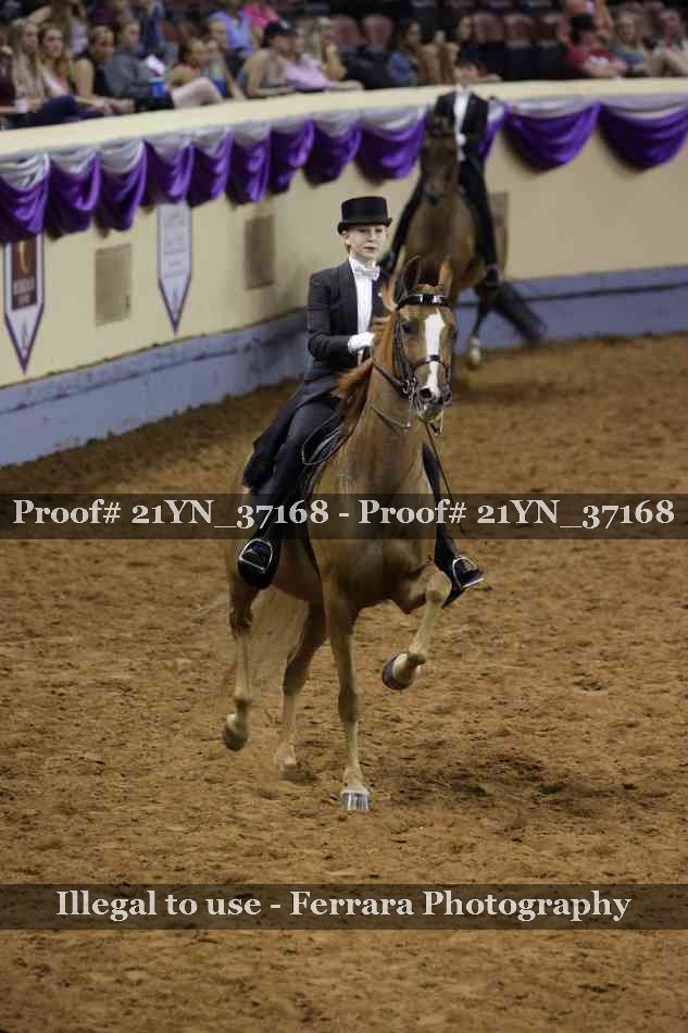 Proof 21YN_37168